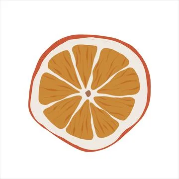 Dried orange slice, dehydrated dry citrus fruit, tea ingredient, vector Stock Illustration