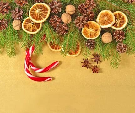 Dried oranges and cones and spruse branch Stock Photos