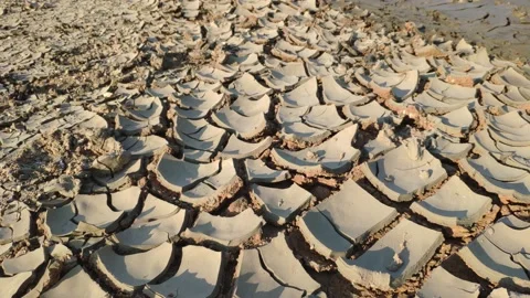 Dried out and crusted surface of soil Stock Footage 158908362