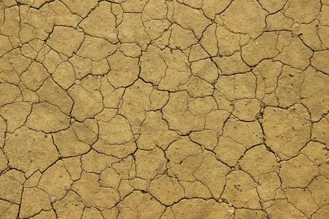 Dried out ground Stockfoto's