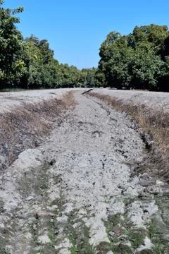 Dried out river bed Stock Photos