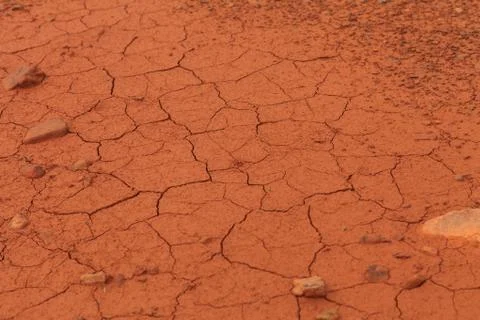 Dried out soil texture Stock Photos