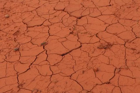 Dried out soil texture Stock Photos