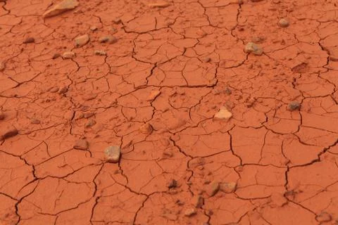 Dried out soil texture Stock Photos