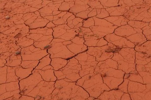 Dried out soil texture Stock Photos