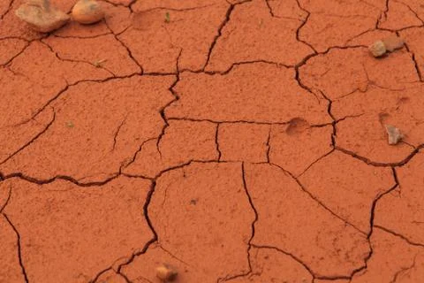 Dried out soil texture Stock Photos