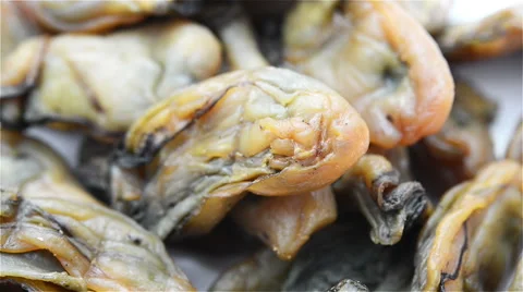 Dried oysters rotating close up Stock Footage 45621866