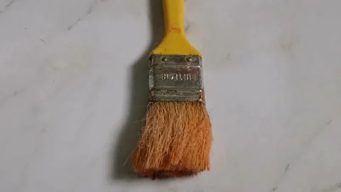 Dried Paint Brushes Stock Footage 205827594
