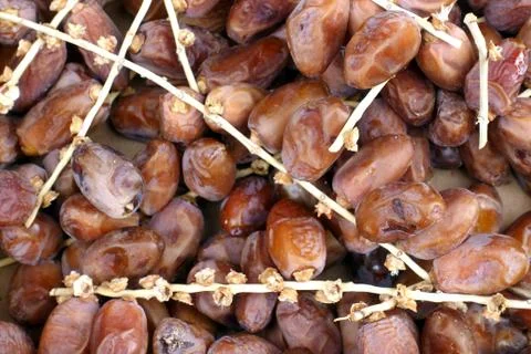Dried Palm dates Stock Photos