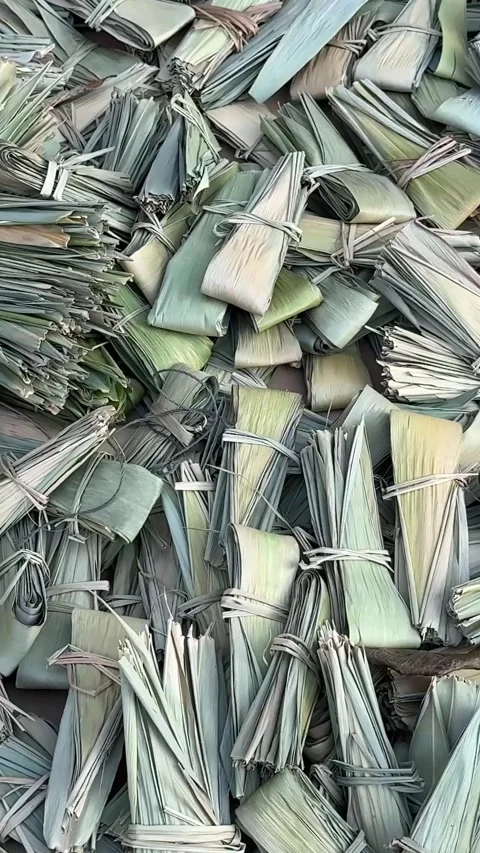 Dried Palm Leaf Background in Asia Green on Road Wrapped in String Stock Footage 308779689