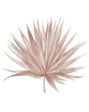 Dried palm leaf. Neutral colored tropical leaf. Watercolour illustration Illustrazione stock