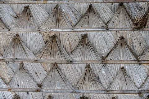 Dried palm leaf wall texture at Tubkaek Beach Thailand Foto stock