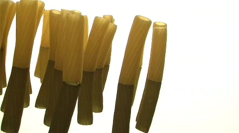 Dried pasta noodles Stock Footage 487268