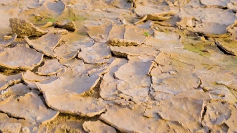 The Dried patch of land. Cracked Land. Scars of the Earth Stock Footage 342723772