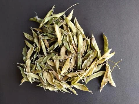 Dried pea husks post extraction on a black background Stock Photos