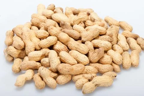 .dried peanuts in closeup on the white background Stock Photos