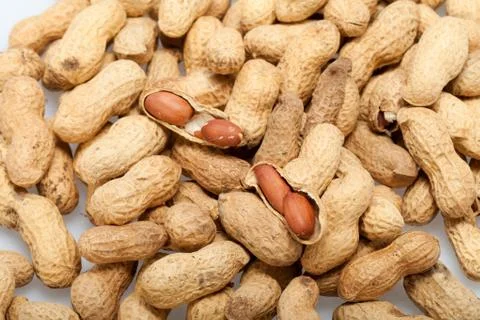 .dried peanuts in closeup on the white background Stock Photos