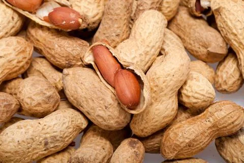 .dried peanuts in closeup on the white background Stock Photos