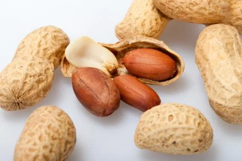 .dried peanuts in closeup on the white background Stock Photos