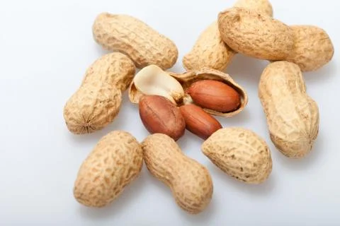 .dried peanuts in closeup on the white background Stock Photos
