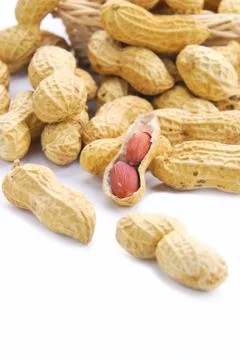 Dried peanuts Stock Photos