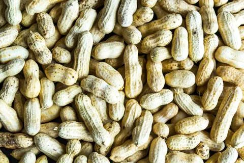 Dried peanuts Stock Photos