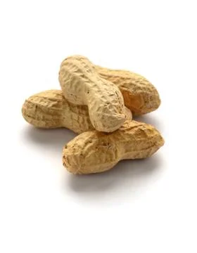 Dried peanuts  in shells Stock Photos