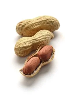 Dried peanuts  in shells Stock Photos