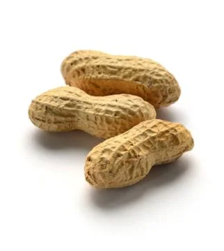 Dried peanuts  in shells Stock Photos