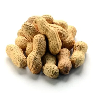 Dried peanuts  in shells Stock Photos