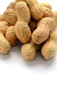 Dried peanuts  in shells Stock Photos