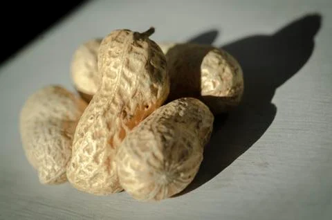 Dried Peanuts in Shells Stock Photos