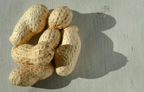 Dried Peanuts in Shells Stock Photos