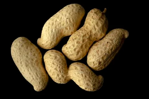 Dried Peanuts in Shells Stock Photos