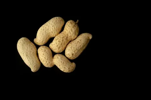 Dried Peanuts in Shells Stock Photos