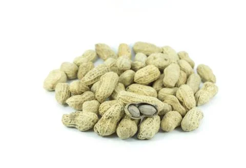 Dried peanuts on the white background Stock Photos