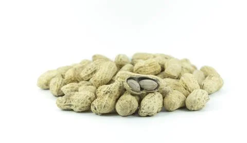 Dried peanuts on the white background Stock Photos