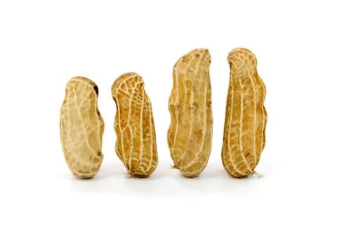 Dried peanuts on white background Foto stock