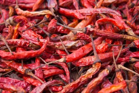 Dried pepper Stock Photos