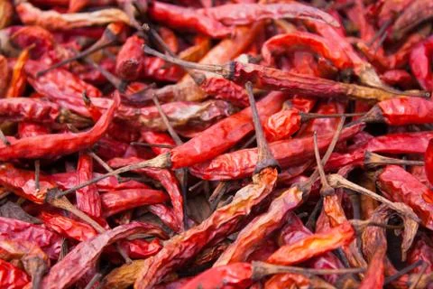 Dried pepper Foto stock