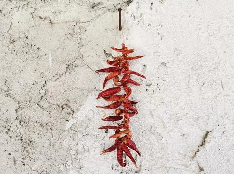 Dried pepper. Stock Photos