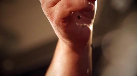 Dried pepper in slow motion Stock Footage 67866622