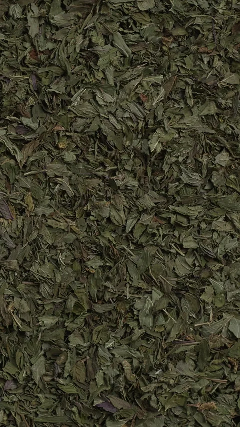 Dried peppermint leaves background texture. Vertical video. Stock Footage 311051986