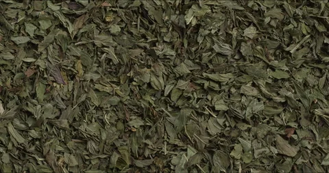 Dried peppermint leaves background texture. Stock Footage 311052811