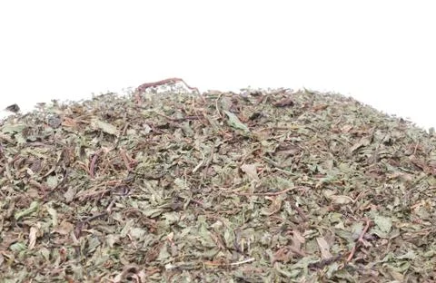 Dried peppermint Stock Photos