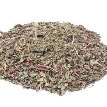 Dried peppermint Stock Photos