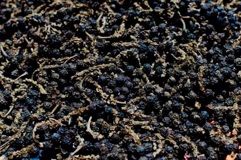 Dried peppers Stock Photos