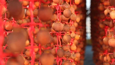 Dried persimmons, close-up shot 스톡 동영상 302949400