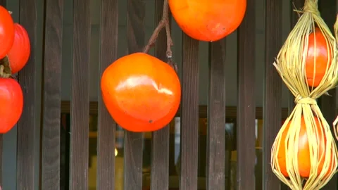 Dried Persimmons Under the Eaves Stock Footage 332395969