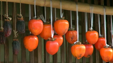 Dried Persimmons Under the Eaves Stock Footage 332395998